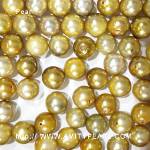 6217 saltwater half-drilled pearl about 7-8mm gold color.jpg